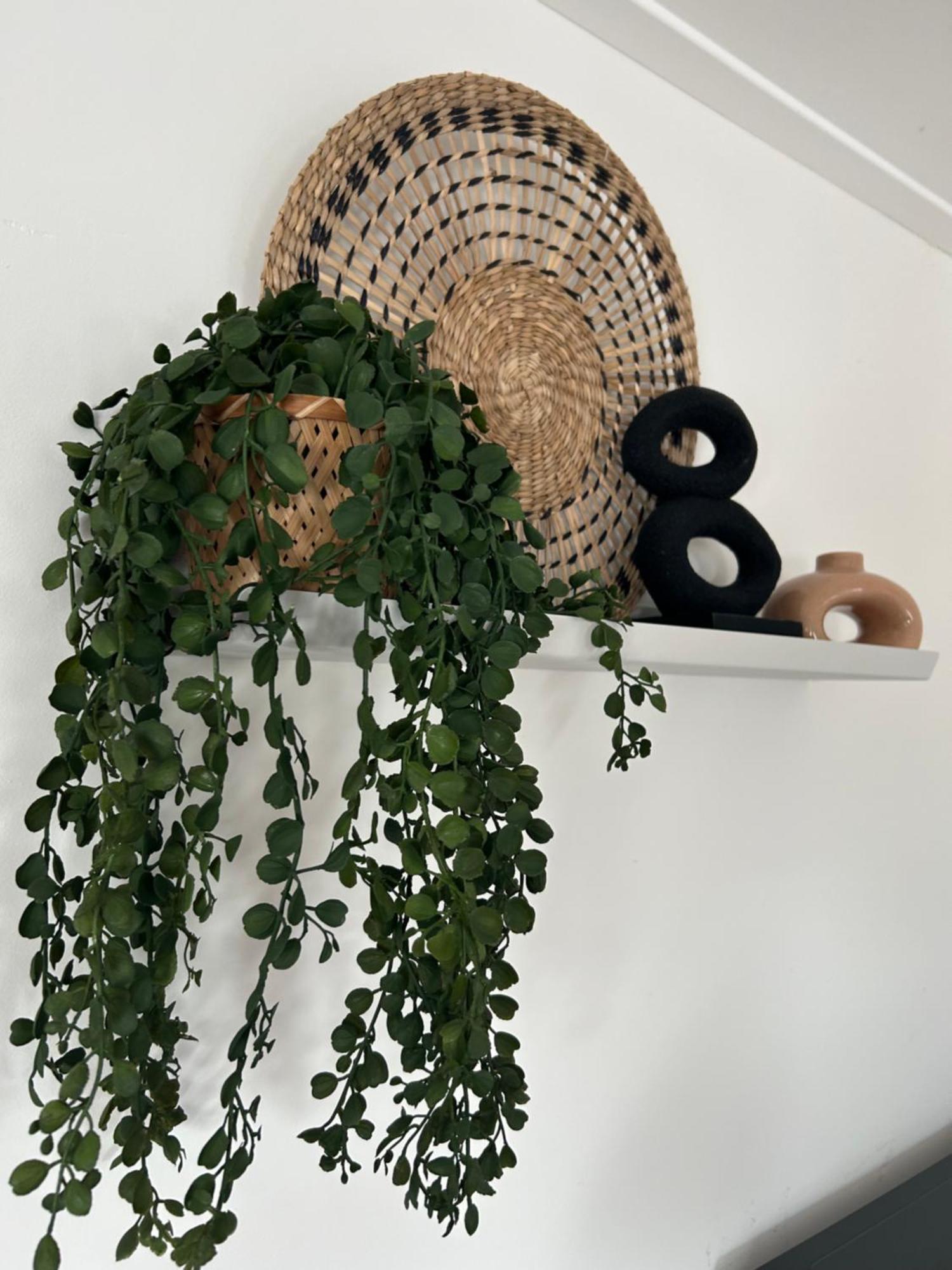 Bed & Breakfast Zunderdorp 2*